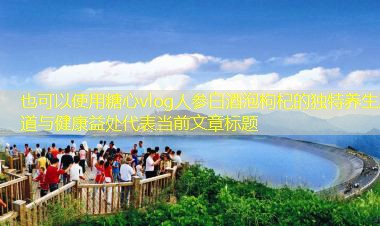 人参白酒泡枸杞的独特养生之道与健康益处