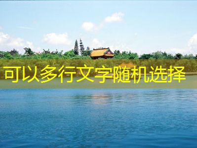 什么白酒适合用来泡枸杞效果最佳