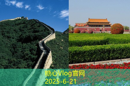 一斤杨梅泡几斤白酒与多少冰糖最为合适
