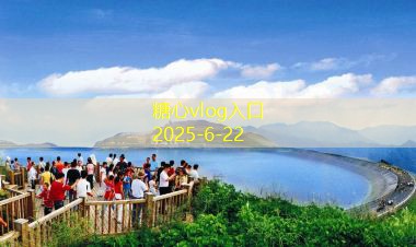 五斤白酒泡枸杞的最佳用量与健康益处探讨