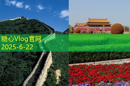 五粮液白酒保存的最佳方法与技巧分享