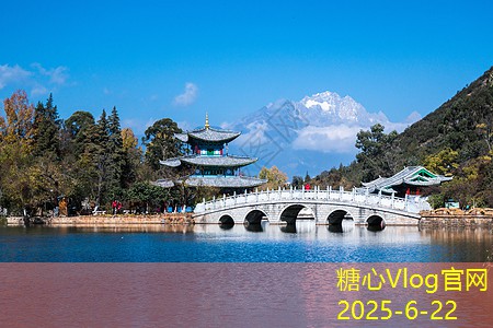 什么白酒适合与枸杞搭配泡制提升健康效果