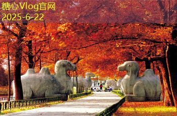 优质酱香型白酒存放技巧与最佳环境指南