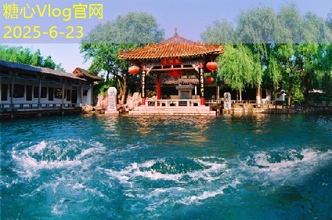 剑南春52度浓香型白酒市场售价及购买建议