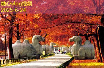 半熟酿白酒的酿造秘笈与美味享受攻略