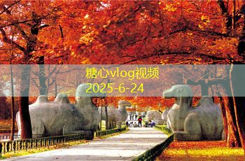 商品白酒类型分类及其选购技巧详解