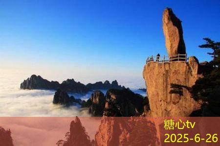 天津白酒选购指南如何挑选适合你的精品白酒