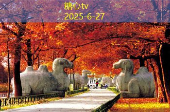 如何选购优质散装白酒的技巧与建议