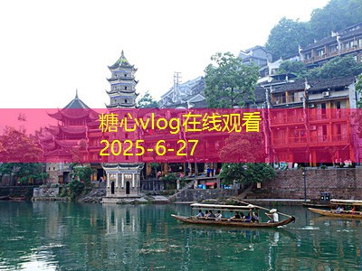 如何在家自制美味白酒的详细步骤与技巧
