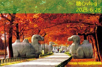 如何在家自制口感极佳的白酒饮品