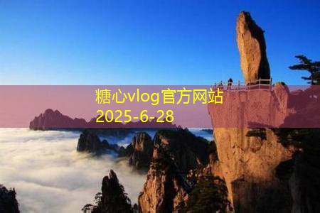 如何成功打造高效的白酒生产设备