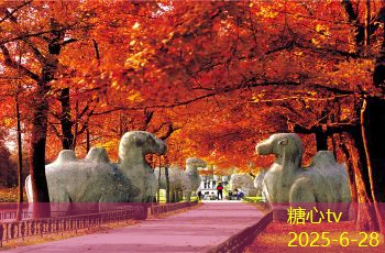 如何在家轻松酿造美味的甜白酒