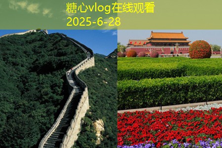 如何用传统工艺酿造出美味白酒的秘诀