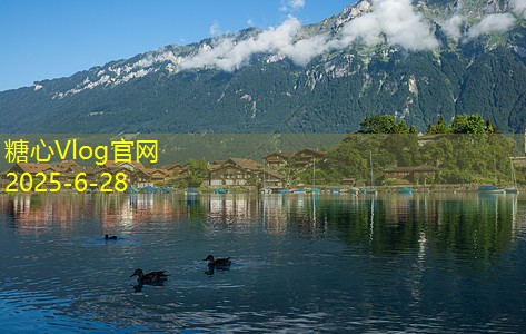 如何高效酿白酒掌握技巧与方法提升品质