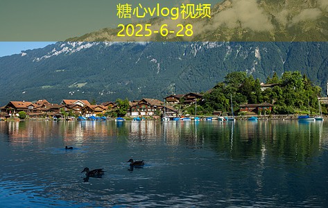 存放白酒的价值与保值策略全面解析