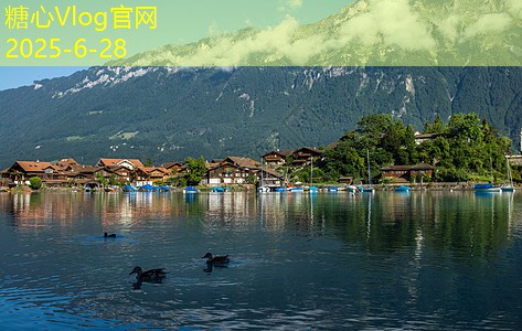学酿白酒的完整流程与技巧分享