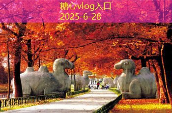 家常买白酒怎么选才更实惠又好喝