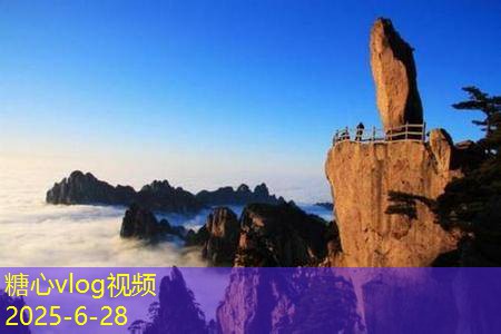 家常酿白酒的全流程揭秘与技巧分享