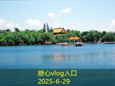 家庭白酒酿酒技术方法详解与实践指南