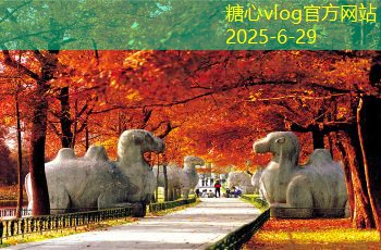 家庭白酒酿酒的方法全解析从入门到精通