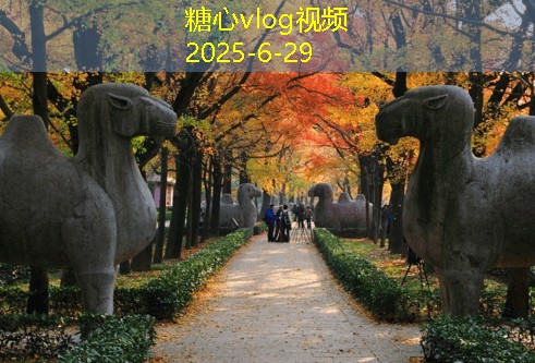 家庭酿低度白酒的全流程指南与技巧分享