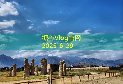 家庭酿白酒的秘密揭秘及具体步骤解析