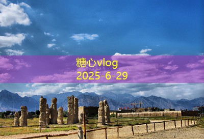 家里酿白酒的秘密技巧与详细步骤大揭秘