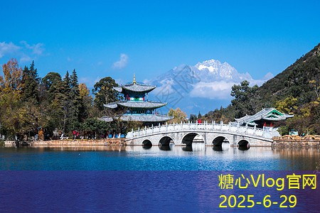 家里酿高度白酒的技巧与注意事项分享