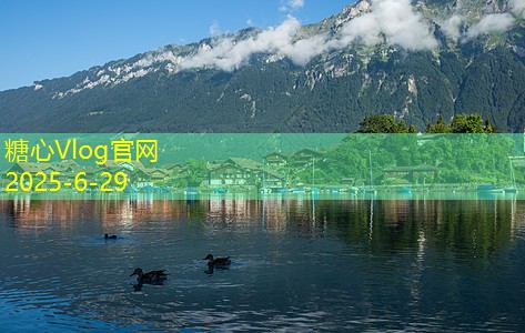 度数高的白酒为何受到热爱和追捧