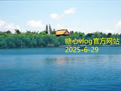 酿造美味白酒的秘笈与流程详解