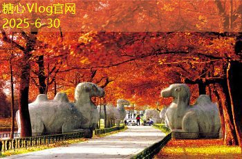 怎么选纯粮高度白酒才最靠谱