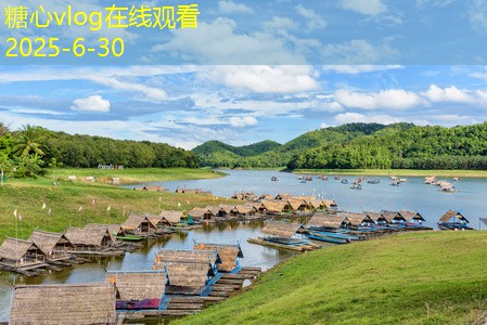 怎么在家中轻松酿造10度白酒的详细指南