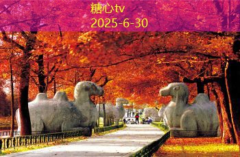 散白酒保存的重要性与最佳方法解析