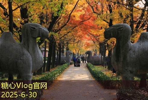 散白酒存放的最佳条件与注意事项分析