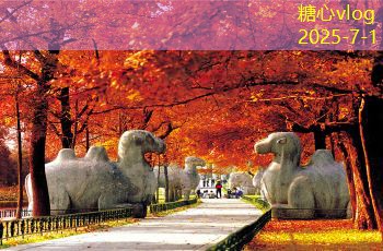 普通酱香白酒推荐品鉴指南让你选购不再困难