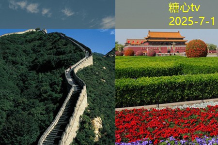 机器如何高效酿造优质白酒提升产量与品质