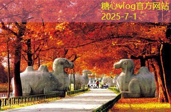 酱香白酒行业投资新风潮有哪些知名品牌受到注资