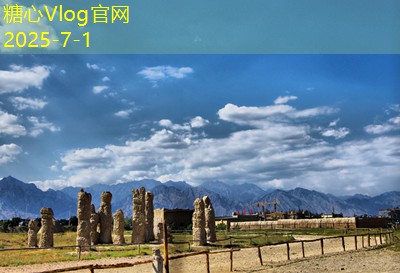 杜康酒圣52度浓香型白酒市场价格解析
